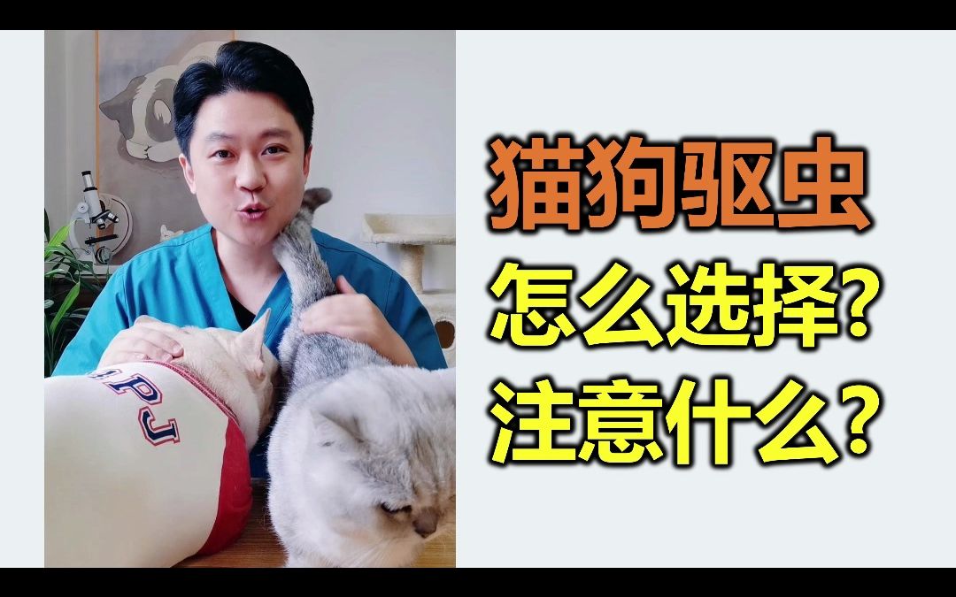 猫狗驱虫药，应该怎么选？需要注意什么？-1.jpg